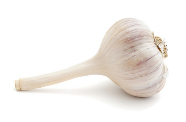 Similar image 1293735