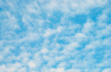 Similar image 1293839