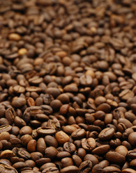 Similar image 1293847