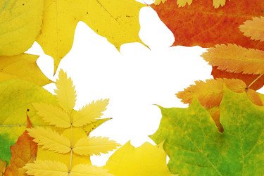 Similar image 1293854