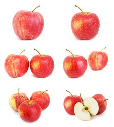 Similar image 1293857