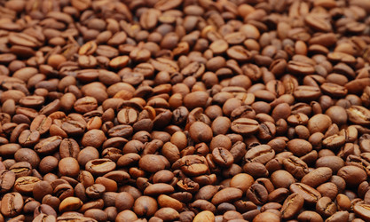 Similar image 1293895