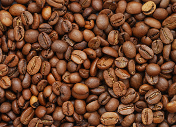 Similar image 1293903