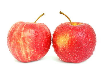 Similar image 1293936