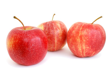 Similar image 1293946