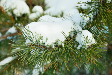 Similar image 1293956