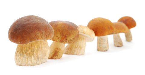 Similar image 1293967