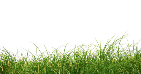 Similar image 1293981