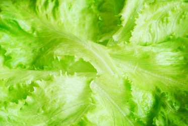 Similar image 1294019