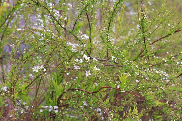 Similar image 1299392