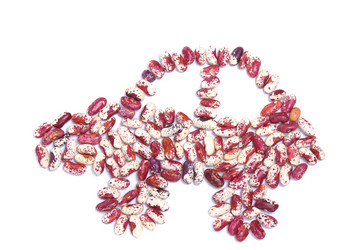 Similar image 1299406