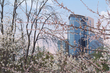 Similar image 1299411