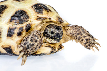 Similar image 1299476