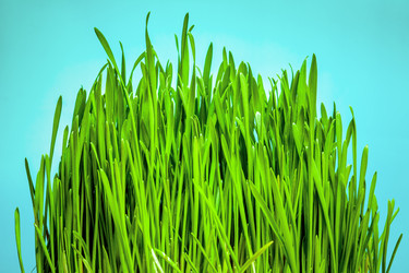 Similar image 1299522