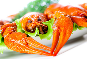 Similar image 1299536