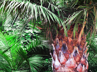 Similar image 1299566