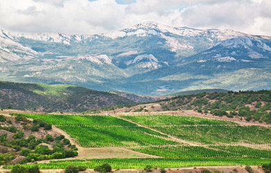 Similar image 1299567