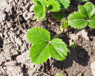 Similar image 1299569