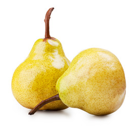 Similar image 1299571