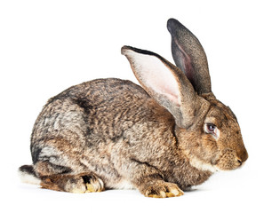 Similar image 1299573