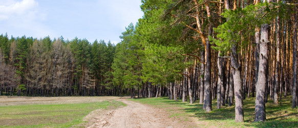 Similar image 1299594