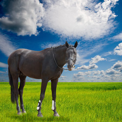 Similar image 1299605