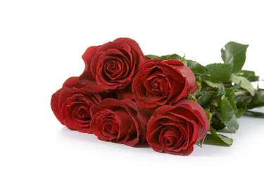 Similar image 1299607