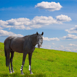 Similar image 1299609