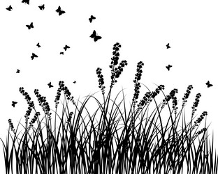 Similar image 1299661