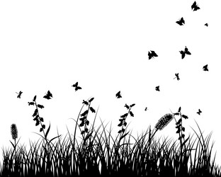 Similar image 1299662