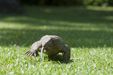 Similar image 1299707