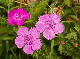 Similar image 1299898