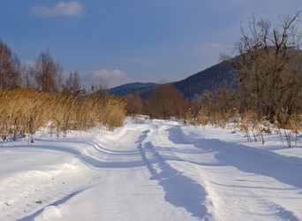 Similar image 1299902