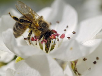 Similar image 1299904