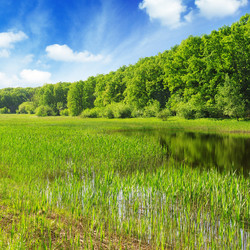 Similar image 1300157