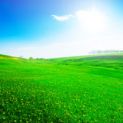 Similar image 1300172