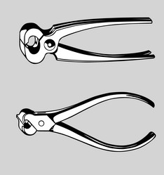 Similar image 1300294