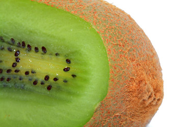 Similar image 1300353