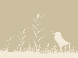 Similar image 1300354