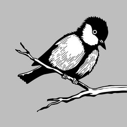 Similar image 1300355