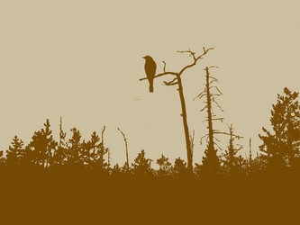 Similar image 1300366