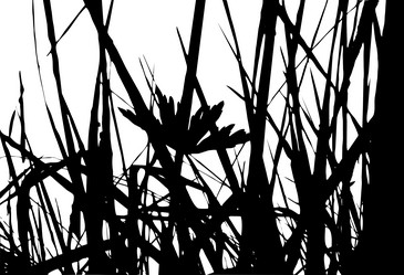 Similar image 1300395