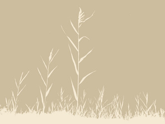 Similar image 1300405