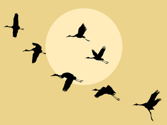 Similar image 1300406