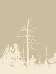 Similar image 1300410