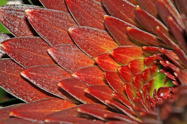 Similar image 1300418