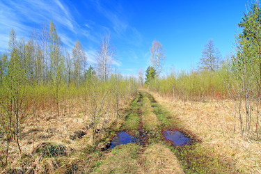 Similar image 1300424