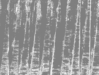 Similar image 1300447