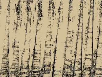 Similar image 1300448