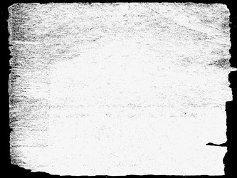 Similar image 1300474